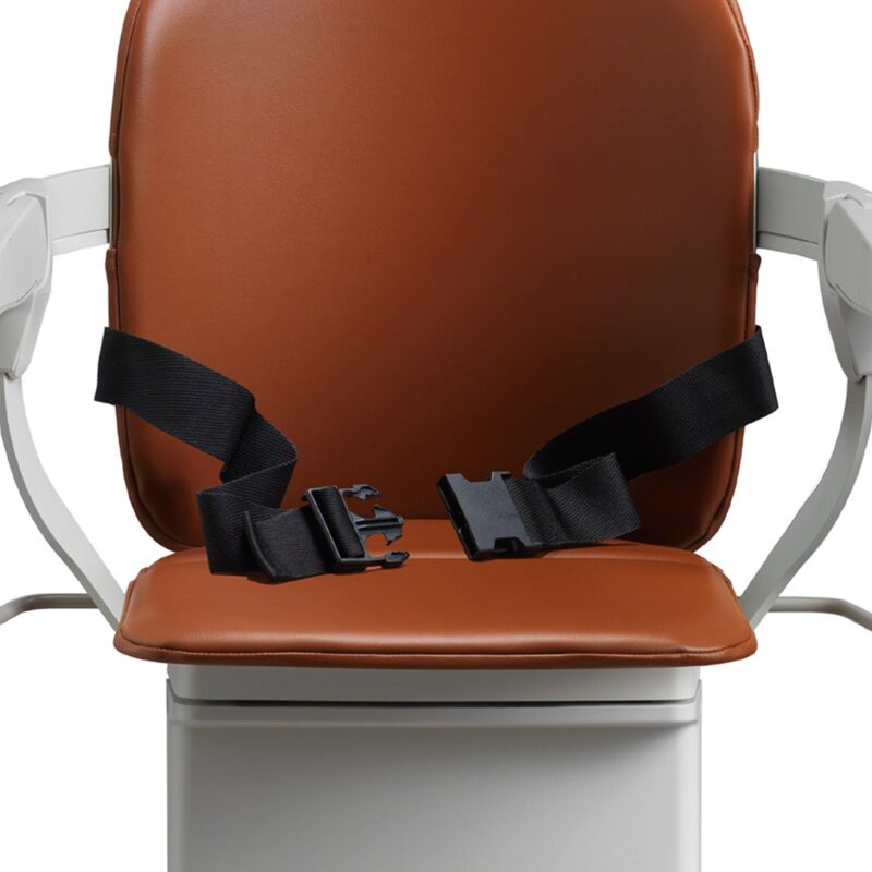 siena-one-seatbelt